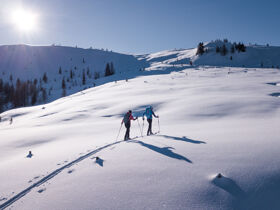 Winterurlaub im Salzburger Land - Skifahren, Wandern oder Rodeln - Sie haben die Wahl | 6 Nächte