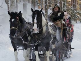 Winterurlaub - Adventzauber mit romantischer Pferdekutschfahrt | 2 Nächte