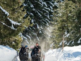 Advent in den Bergen - inklusive Pferdekutschfahrt I 2 Nächte