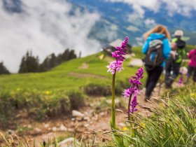 Pfingsturlaub in den Bergen - | 5 Nächte