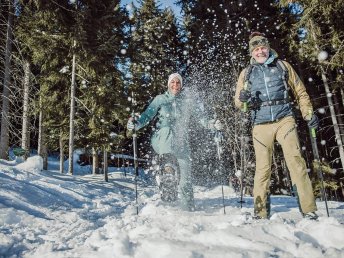 Adventurlaub in der Region Schladming Dachstein inkl. Skipass & Hydrojet Anwendung | 6 Nächte