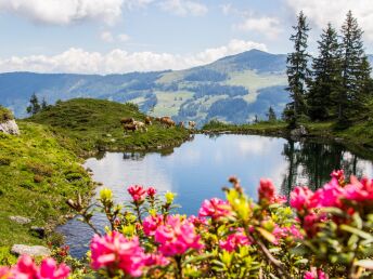 Glücksmomente am Sonnenplateau in Tirol | 3 Nächte