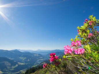 Glücksmomente am Sonnenplateau in Tirol | 3 Nächte