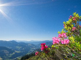 Sommerstart in Tirol - Wildschönau | 3 Nächte 3