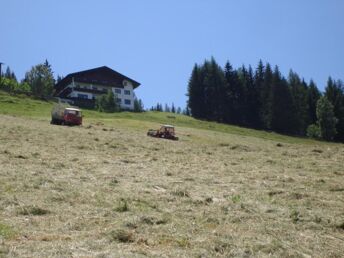 Wanderurlaub in Schladming inkl. tägl. Nutzung der Bergbahnen | 1 Nacht