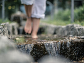 Entdeckertage in OÖ ersten Wanderdorf | 4 Nächte 