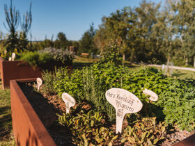 Entdeckertage in OÖ ersten Wanderdorf | 4 Nächte 