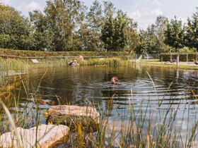 Entdeckertage in OÖ ersten Wanderdorf | 4 Nächte 