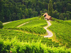Romantische Auszeit in Slowenien inkl. Weinverkostung | 4 Nächte