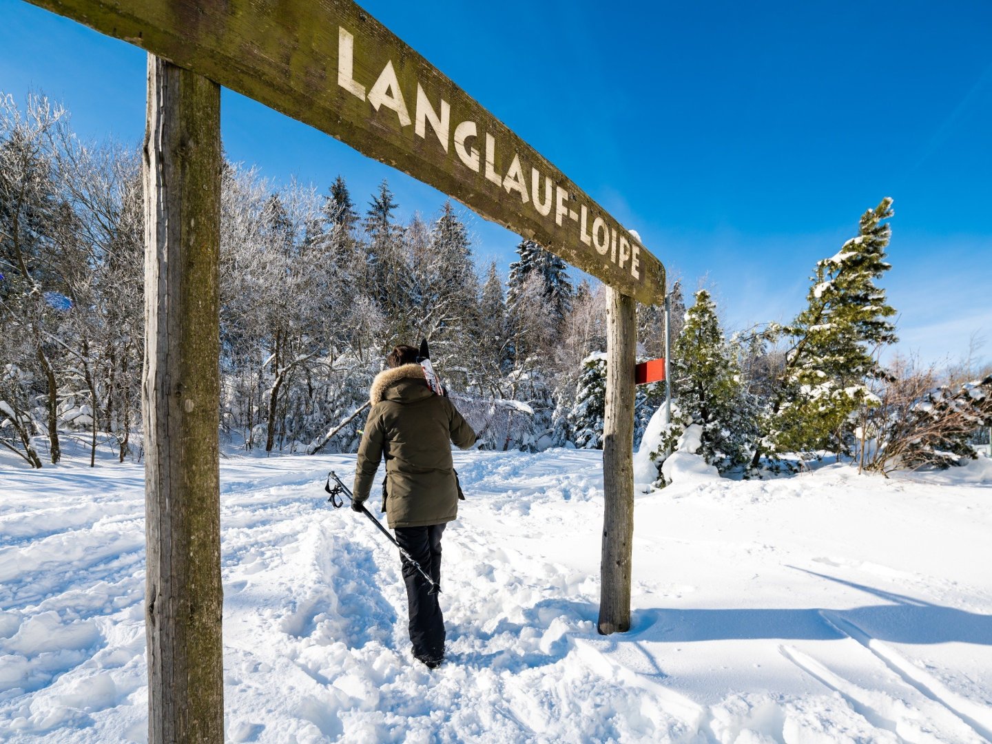 Bergluft & Genusswandern- 3 Tage in Altenberg inkl. Halbpension