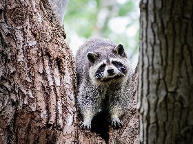 Bergluft & Genusswandern- 3 Tage in Altenberg inkl. Halbpension