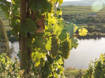 Mosel Live erleben im Kurtrierer Hof Anno 1610