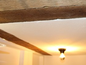 Vogelpark in Detmold: Unvergessliche Tage im Teutoburger Wald mit Detmolder Schloss und Vogelpark