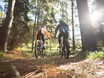 Auf zwei Rädern durch die Natur in Detmold und dem Teutoburger Wald