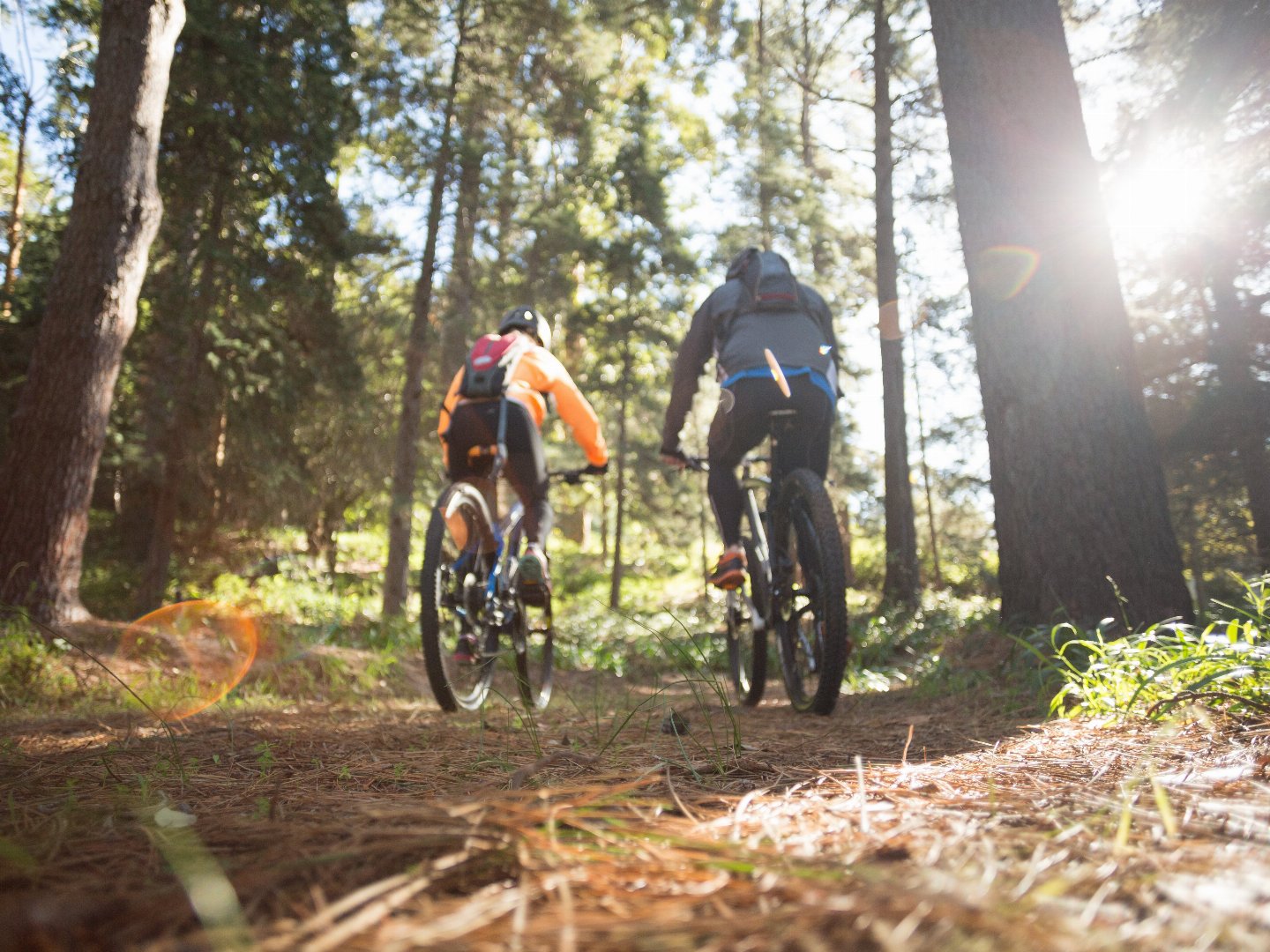 Auf zwei Rädern durch die Natur in Detmold und dem Teutoburger Wald