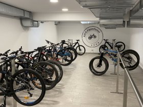 Familienurlaub mit Spaß und Action in Saalbach I 8 Tage