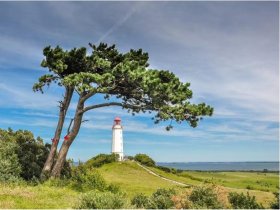 Windsurf-Erlebnis zwischen Ostsee & Hiddensee