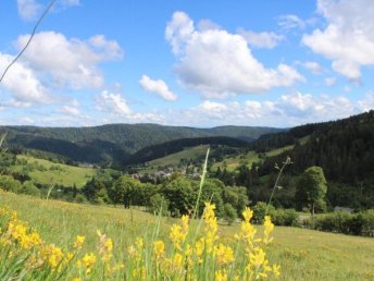 Genuss & Erholung im Schwarzwald 5 Tage