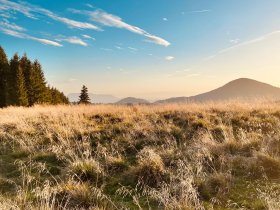 Zeit zum Genießen & Entspannen: Auszeit im steirischen Bergland inkl. Halbpension | 4 Nächte