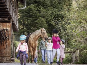 Zeit zum Genießen & Entspannen: Auszeit im steirischen Bergland inkl. Halbpension | 4 Nächte