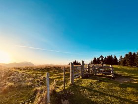 Zeit zum Genießen & Entspannen: Auszeit im steirischen Bergland inkl. Halbpension | 4 Nächte
