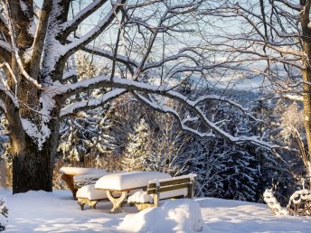 Erholung pur: Urlaub im steirischen Almenland inkl. Frühstück | 1 Nacht