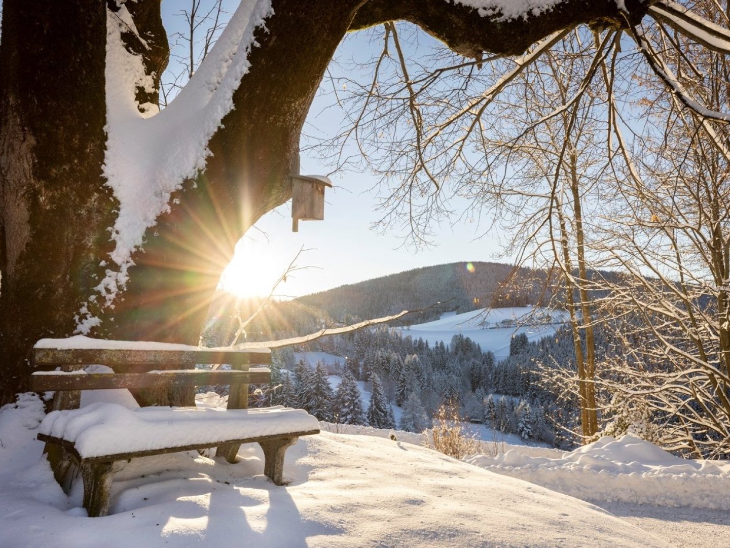 Erholung pur: Urlaub im steirischen Almenland inkl. Frühstück | 1 Nacht