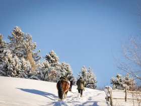 Zeit zum Genießen & Entspannen: Auszeit im steirischen Bergland inkl. Halbpension | 4 Nächte