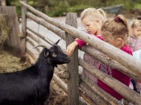 Zeit zum Genießen & Entspannen: Auszeit im steirischen Bergland inkl. Halbpension | 4 Nächte