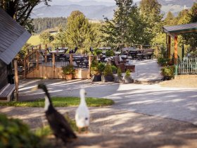 Zeit zum Genießen & Entspannen: Auszeit im steirischen Bergland inkl. Halbpension | 4 Nächte