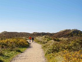 Windstärke 4 | Kurzurlaub auf Sylt, direkt am Strand in Westerland 