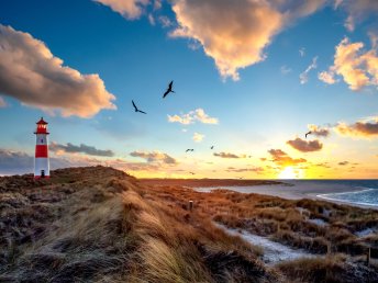 Meeresauszeit im Strandhotel auf Sylt - 5 Tage an der Nordsee
