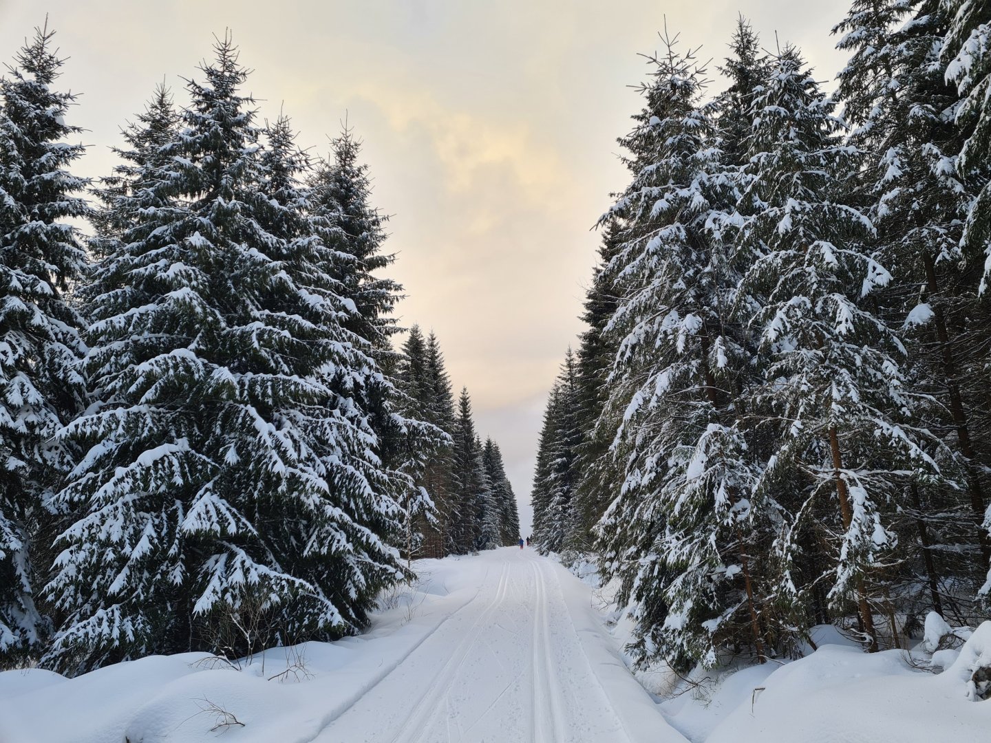 5 Tage Große Auszeit im Vogtland inkl. HP Plus 