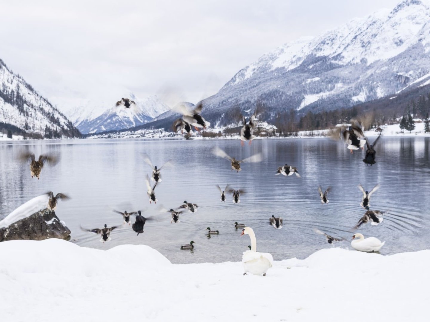 Winterauszeit am Grundlsee inkl. Eintritt in die Grimmingtherme I 2 Nächte