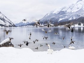 Grundlsee-Idylle zu jeder Jahreszeit – Ihr Wohlfühlurlaub im Salzkammergut | 2 Nächte
