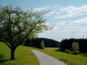 180 Grad Panorama im Allgäu - 3 Tage pure Erholung