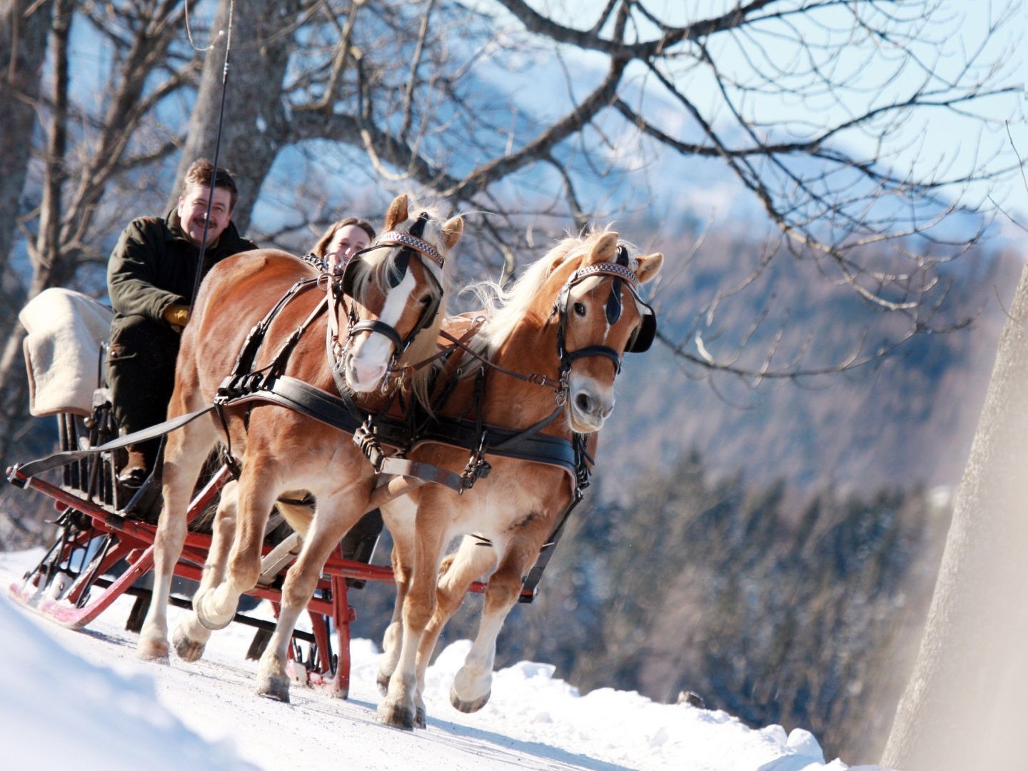 Gemeinsam Gipfel stürmen – Wanderauszeit für Zwei im Mariazellerland I 4 Nächte