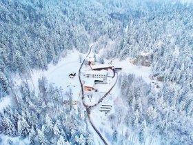 Mit Hund auf Reisen: Altaussee für Zwei- und Vierbeiner I 7 Nächte 