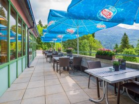 Mit Hund auf Reisen: Altaussee für Zwei- und Vierbeiner I 7 Nächte 