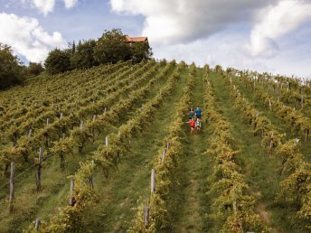 Wanderfreude & Weinbergflair – Aktivurlaub in Deutschlandsberg  I 2 Nächte