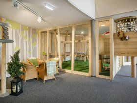 Bergerlebnis in Mariazell I 3 Tage