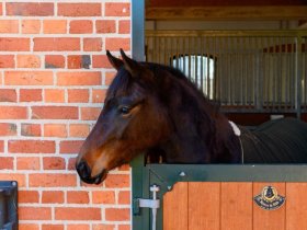 Ferien auf Gut Immenhof 3=2