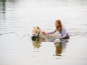 Ferien auf Gut Immenhof 3=2