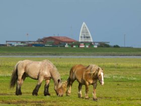 5 Tage Familienurlaub - Auszeit vom Alltag mit der Familie **mit bis zu 2 Kindern gratis!**