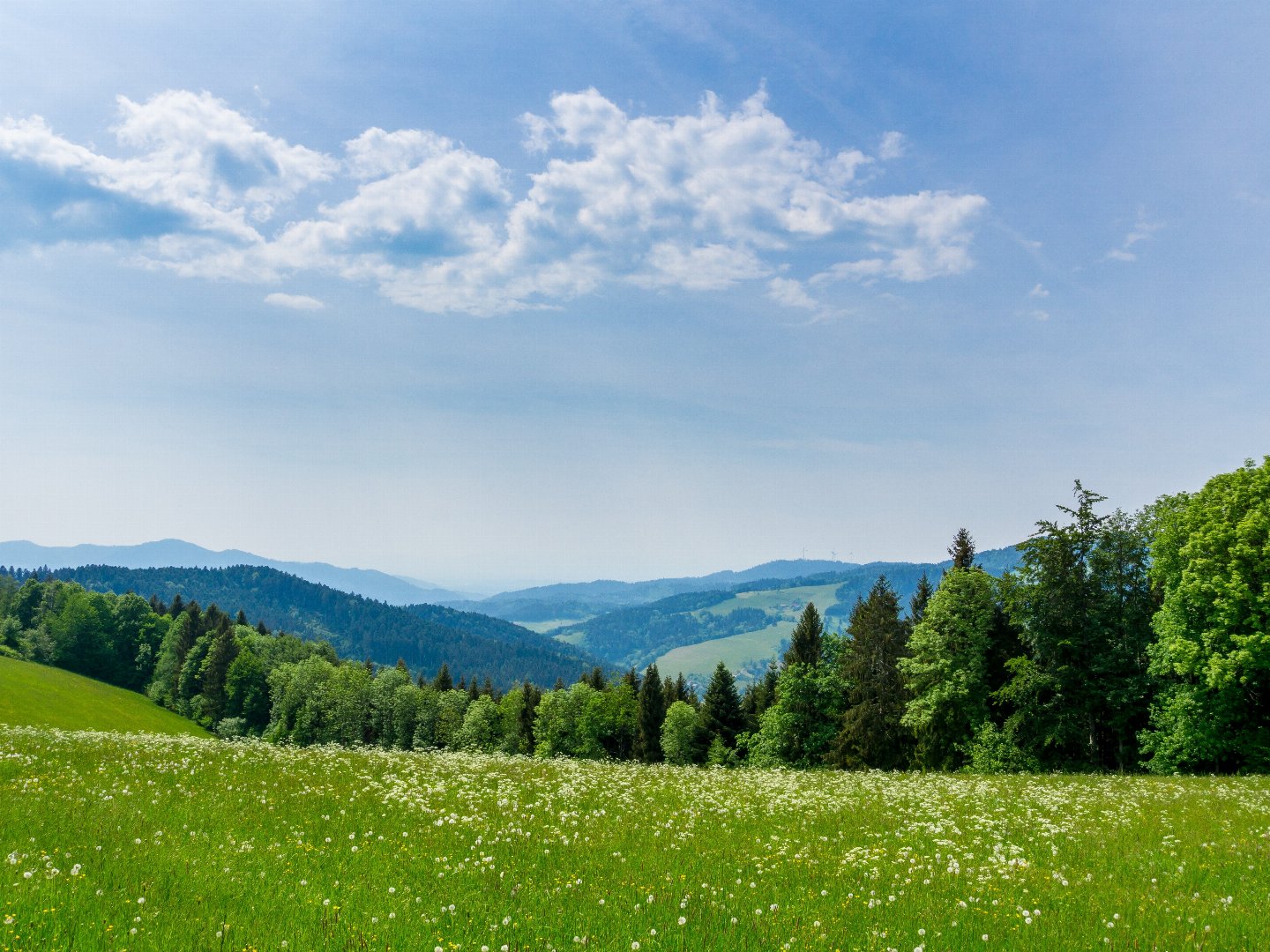 4 Tage Kurzurlaub im schönen Hegau