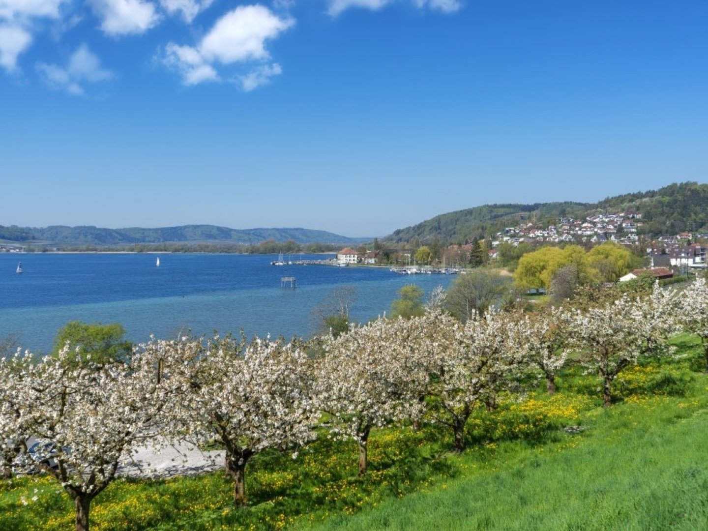 6 Tage Urlaub im schönen Hegau    