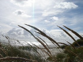 Maritime Winter-Auszeit- 7 Tage auf Langeoog  