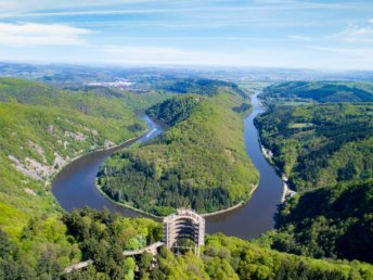 Zurück zur Natur: Digital Detox Retreat an der Saarschleife