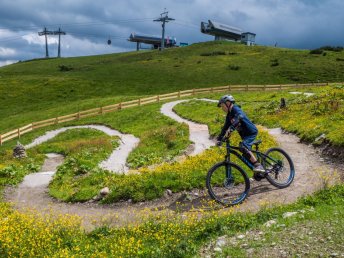 Radeln zwischen Gletschern und Almen – Ein unvergesslicher Urlaub im Dachstein-Massiv I 3 Nächte