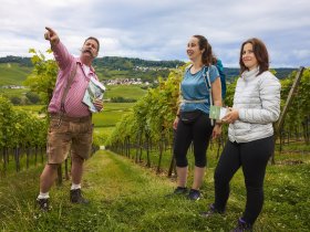 Schwäbisches Weinwochenende